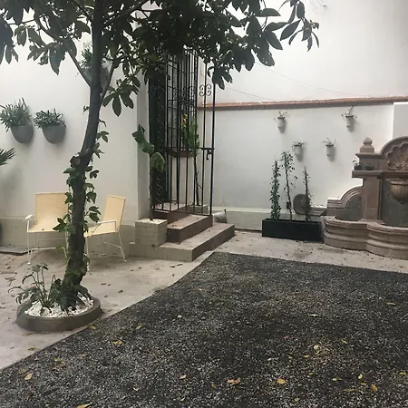 Orchid House Mexico City
