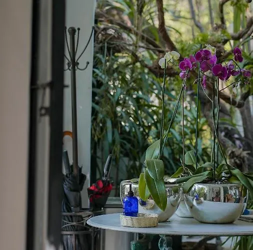 Orchid House Hotel