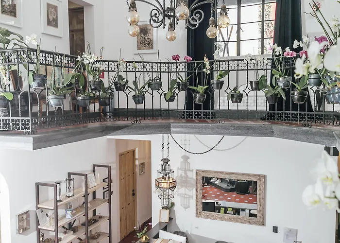 Orchid House Hotel Mexico City