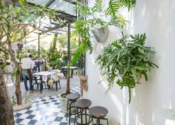 Hotel Orchid House 5*