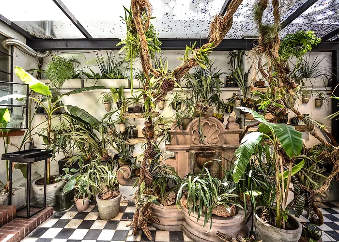 Orchid House Hotel