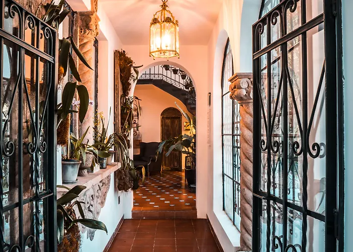 Hotel Orchid House
