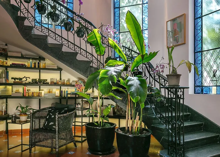 Hotel Orchid House 5*