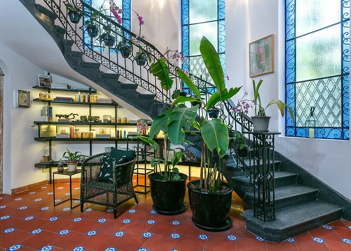 Orchid House Mexiko-Stadt