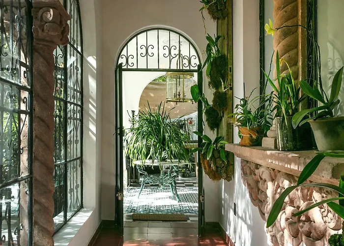 Orchid House Hotel Mexiko-Stadt