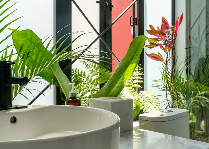 Orchid House Hotel Mexiko-Stadt