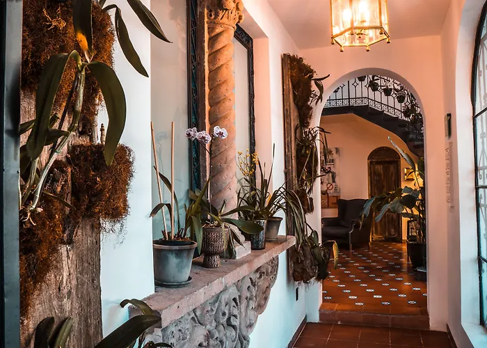 Orchid House 5* Mexiko-Stadt