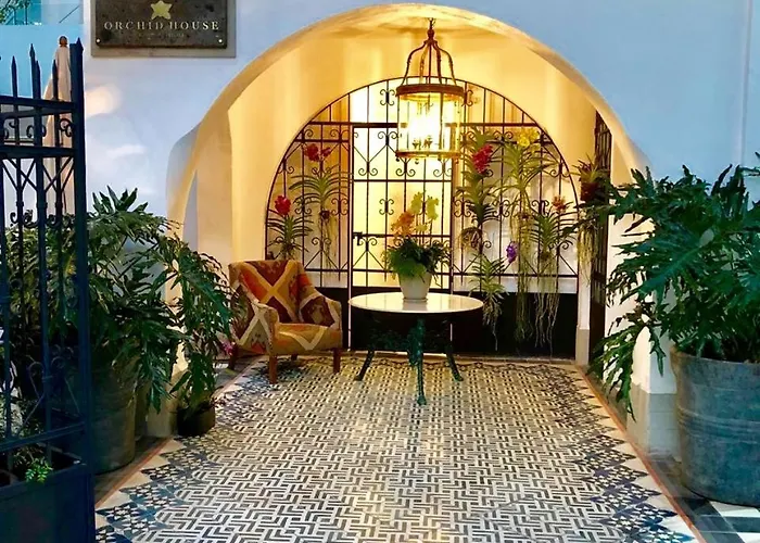 Orchid House Mexico City