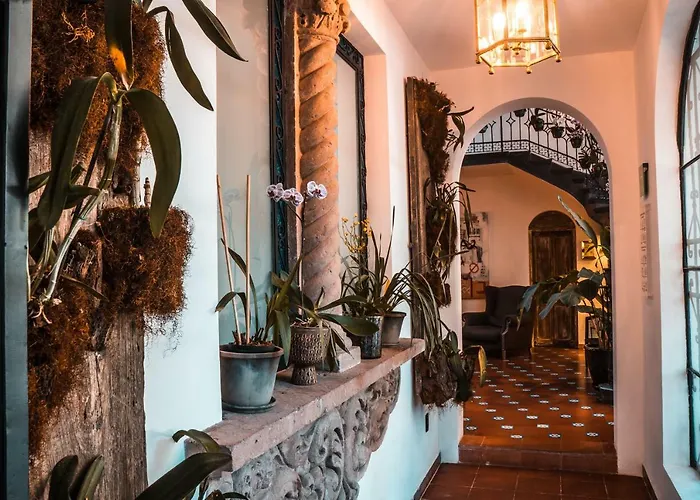 Orchid House Mexico City
