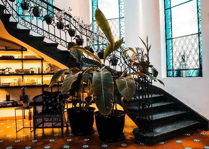 Hotel Orchid House Mexico City
