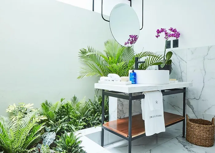 Orchid House Mexiko-Stadt
