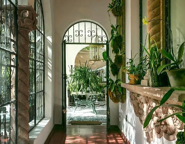 Hotel Orchid House Mexico City