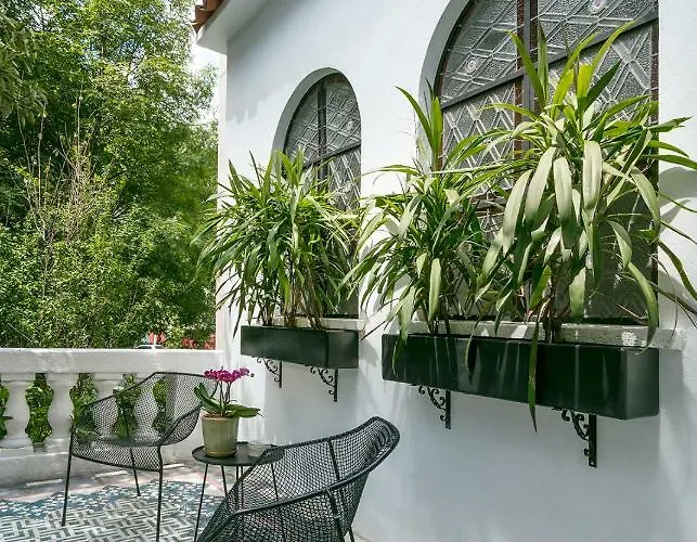 Hotel Orchid House Mexico City